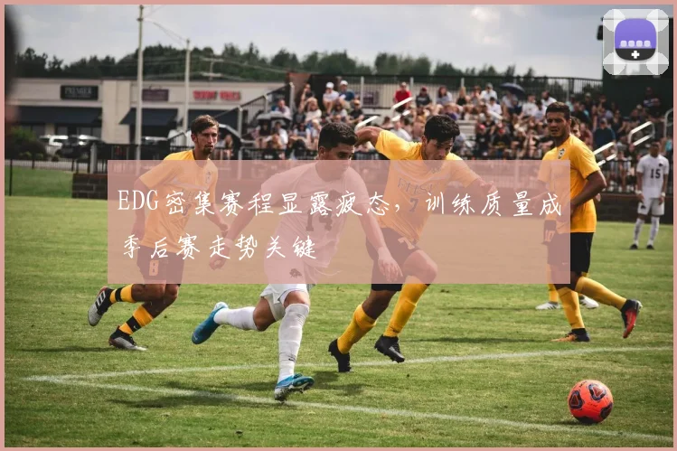 EDG密集赛程显露疲态，训练质量成季后赛走势关键