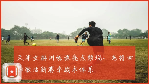 天津女排训练课亮点频现，老将回归激活新赛季战术体系