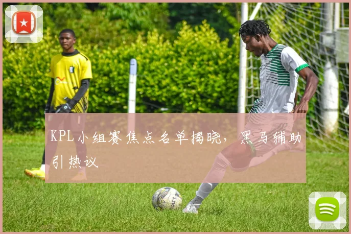 KPL小组赛焦点名单揭晓，黑马辅助引热议